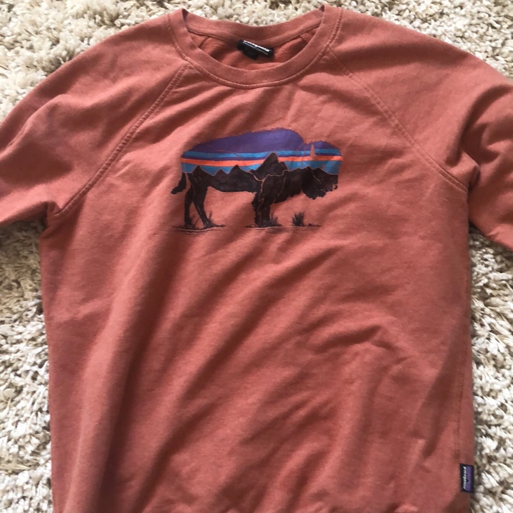 Patagonia pull over